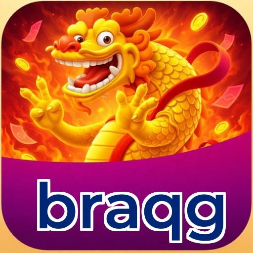 Resumo do fluxo de instalação do app braqg — ilustração editorial